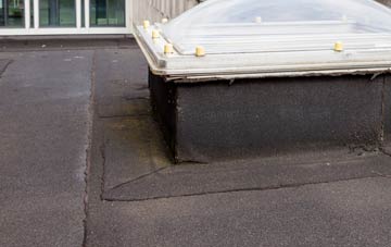disadvantages of Bothenhampton flat roofs