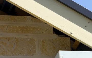 soffit repair Bothenhampton