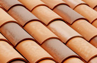 Bothenhampton clay roofing