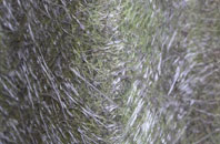 Bothenhampton fibreglass roof work